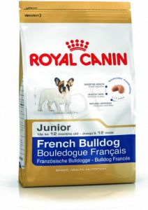 BHN French Bulldog Jun 3 kg