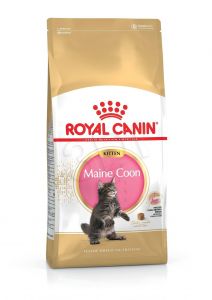 ROYAL CANIN Kitten Food Maine Coon 36 Dry Mix 10kg