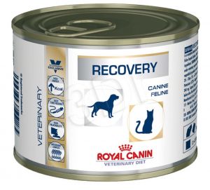 234170 - RECOVERY Dog/Cat 195 g