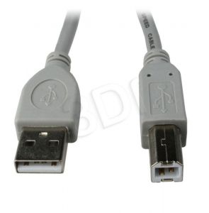 Kabel Gembird ( USB A - USB B M-M 1.8m szary )