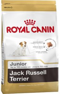 SHN Breed Jack Russ Jun 1,5 kg