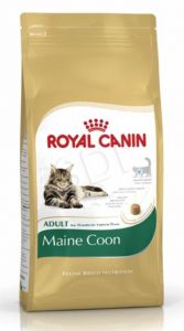 FBN Maine Coon 10 kg