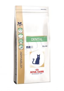 ROYAL CANIN Cat dental 1 5 kg