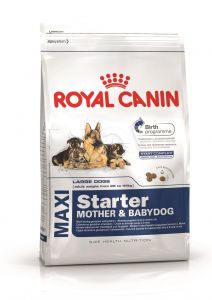 Royal Canin Maxi Starter Mother & Babydog - 15kg